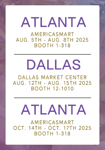 Jan-feb_small_show_banner_web